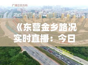 《东营金乡路况实时直播：今日动态一览无遗》