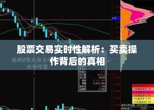 罗含梦鸟 第3页