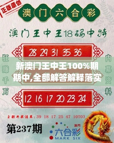 新澳门王中王100%期期中,全部解答解释落实_铂金版10.654