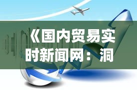 《国内贸易实时新闻网：洞悉市场脉搏，把握商机无限》