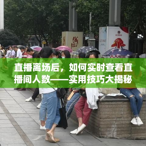 腾龙换鸟 第3页