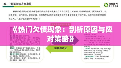 《热门欠债现象：剖析原因与应对策略》