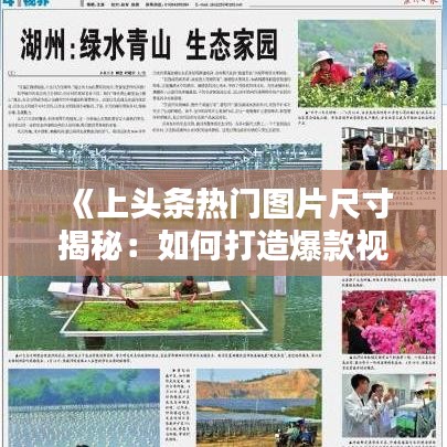 正声雅音 第2页