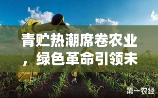 半截鸟木 第2页