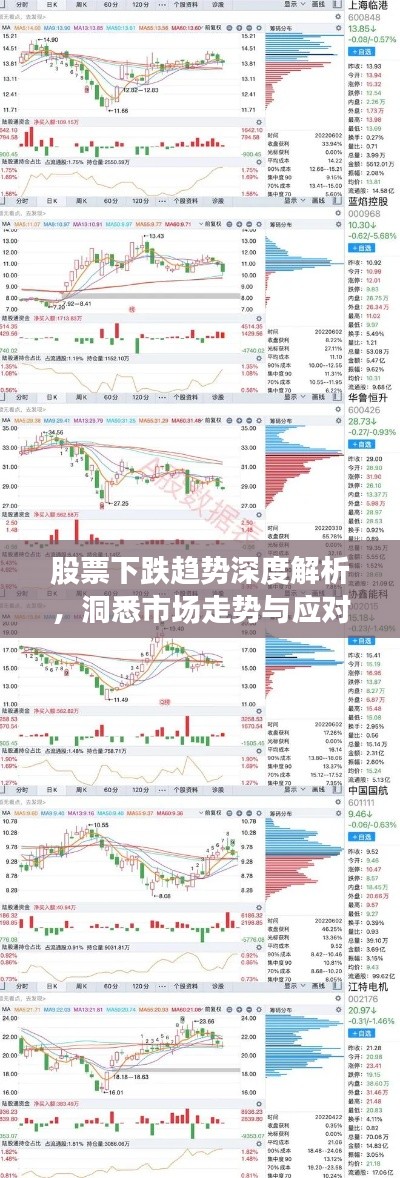 天罗地网 第2页