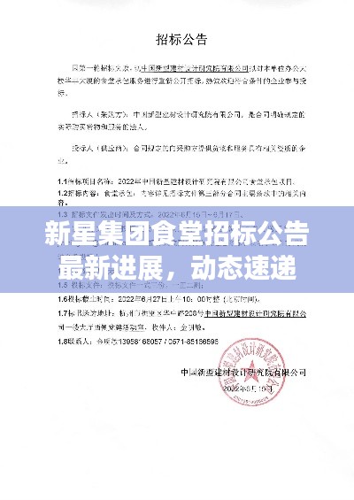 纲挈目张 第2页