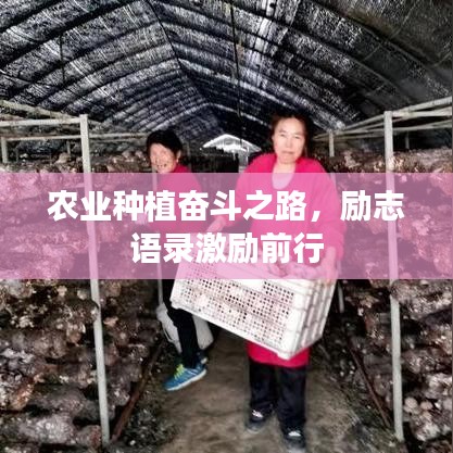 农业种植奋斗之路，励志语录激励前行