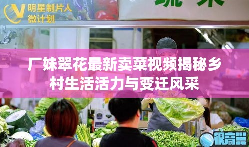厂妹翠花最新卖菜视频揭秘乡村生活活力与变迁风采