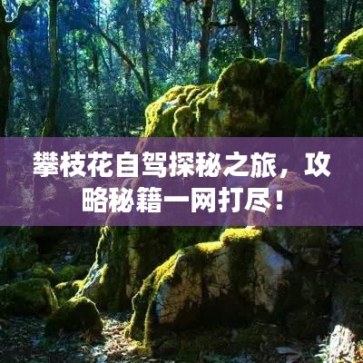 攀枝花自驾探秘之旅，攻略秘籍一网打尽！