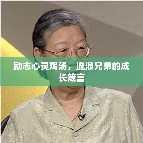 物离乡贵