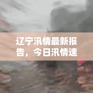 辽宁汛情最新报告，今日汛情速览
