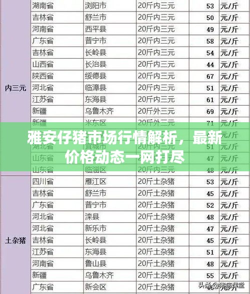 雅安仔猪市场行情解析，最新价格动态一网打尽
