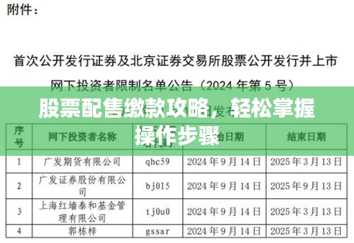 股票配售缴款攻略，轻松掌握操作步骤