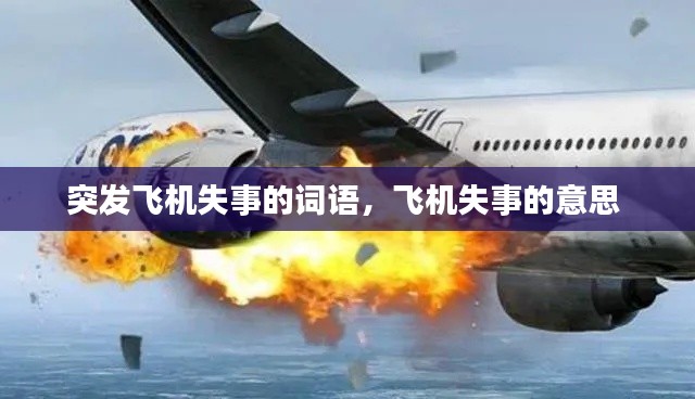 尊道贵德