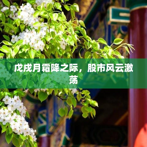 戊戌月霜降之际，股市风云激荡