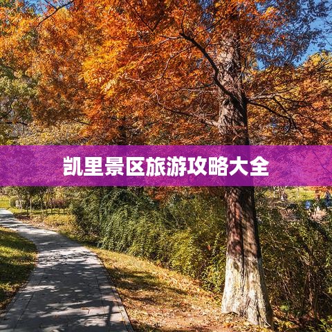 鸟吏鳖官