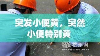 突发小便黄，突然小便特别黄 
