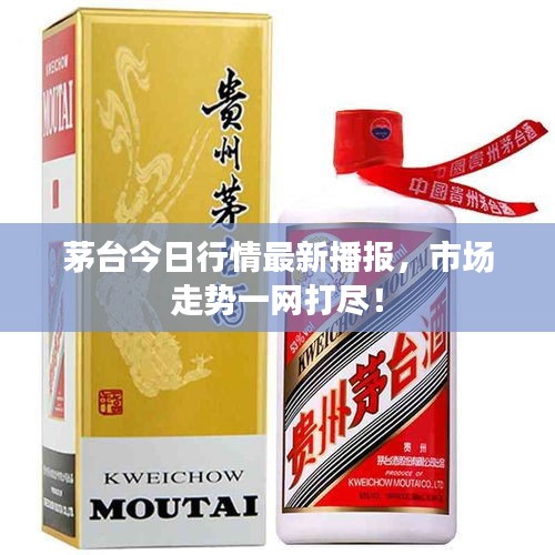 茅台今日行情最新播报，市场走势一网打尽！