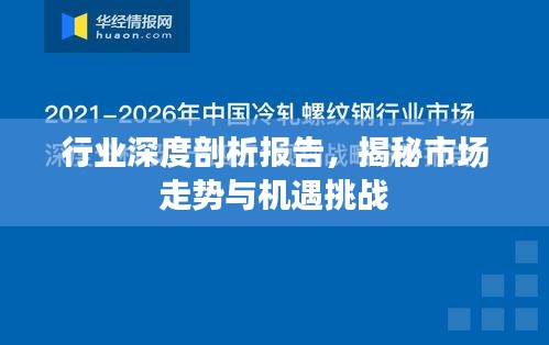 行业深度剖析报告，揭秘市场走势与机遇挑战