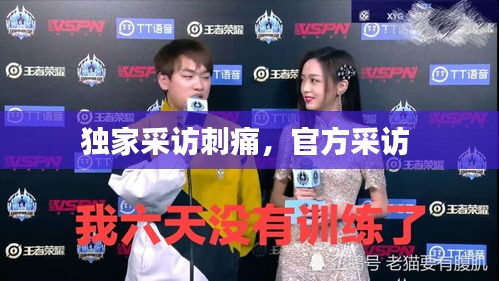 联系我们 第11页