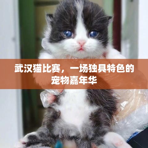 张弓挟矢