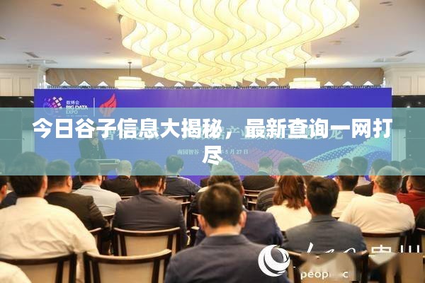成功案例 第10页