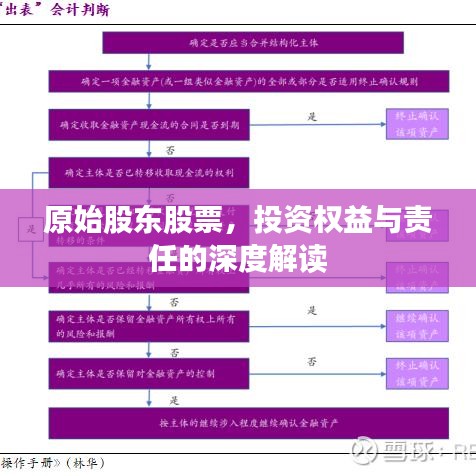 原始股东股票，投资权益与责任的深度解读