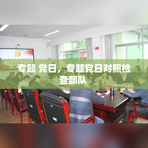 专题 党日，专题党日对照检查部队 