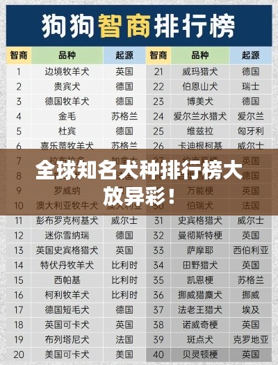 全球知名犬种排行榜大放异彩！