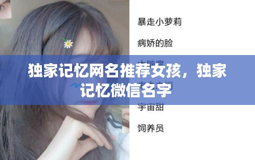 独家记忆网名推荐女孩，独家记忆微信名字 