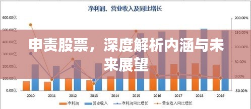申责股票，深度解析内涵与未来展望