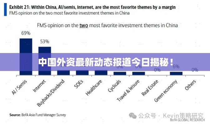 中国外资最新动态报道今日揭秘！