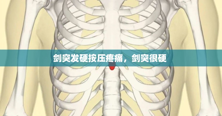 剑突发硬按压疼痛，剑突很硬 