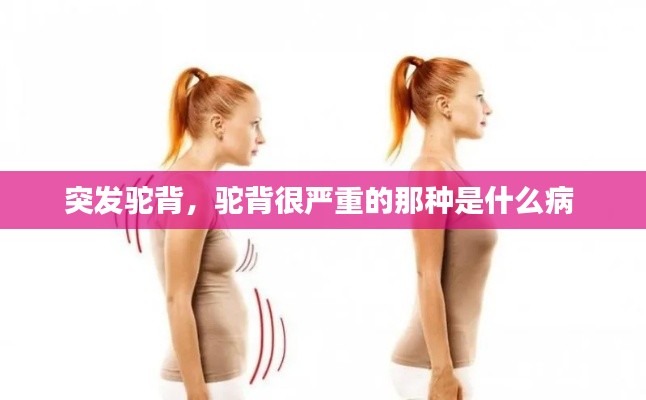 成功案例 第7页