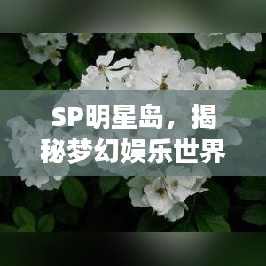 SP明星岛，揭秘梦幻娱乐世界，体验全新魅力之旅