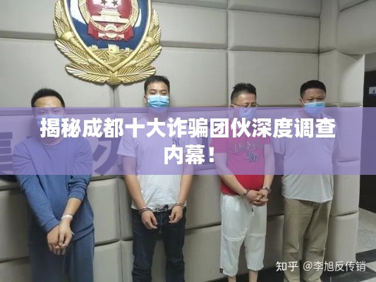 敷衍了事