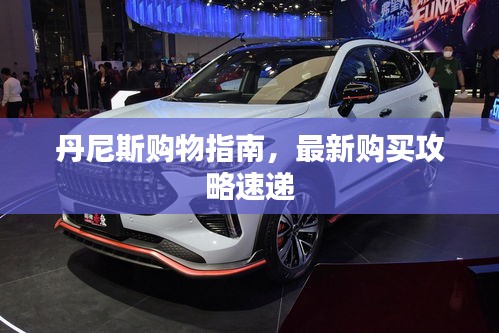 丹尼斯购物指南，最新购买攻略速递