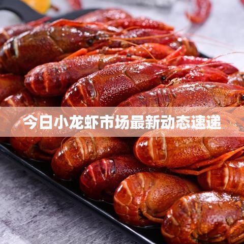 技术支持 第3页
