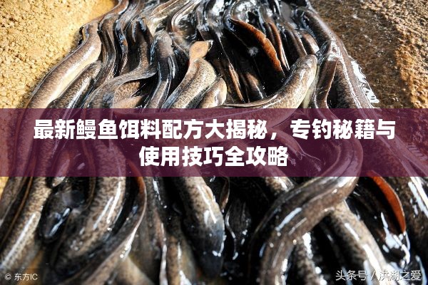 贵险贱璧