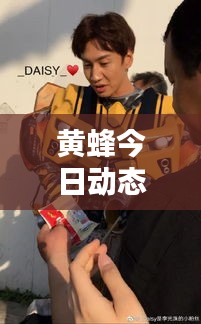 随方就圆