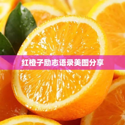 2025年6月9日