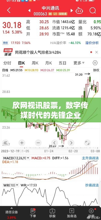 欣网视讯股票，数字传媒时代的先锋企业