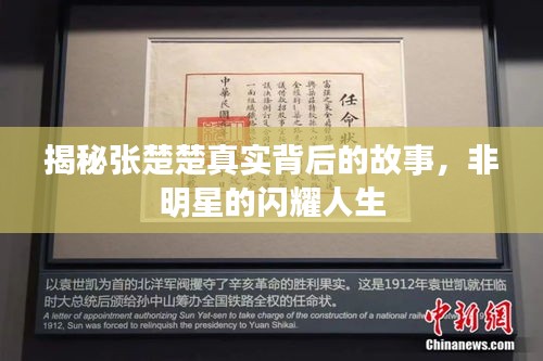 揭秘张楚楚真实背后的故事，非明星的闪耀人生