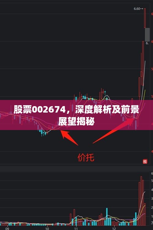 股票002674，深度解析及前景展望揭秘