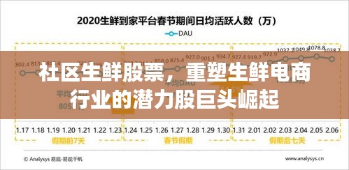 社区生鲜股票，重塑生鲜电商行业的潜力股巨头崛起