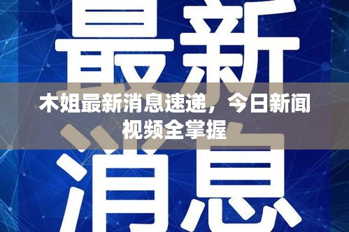 木姐最新消息速递，今日新闻视频全掌握