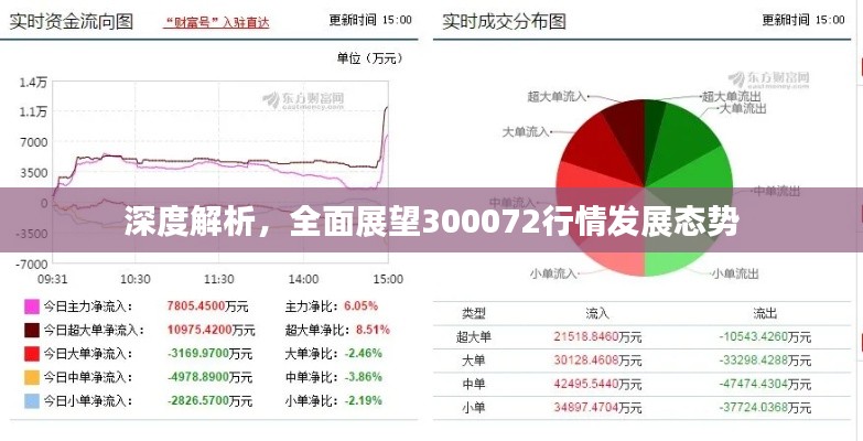 深度解析，全面展望300072行情发展态势