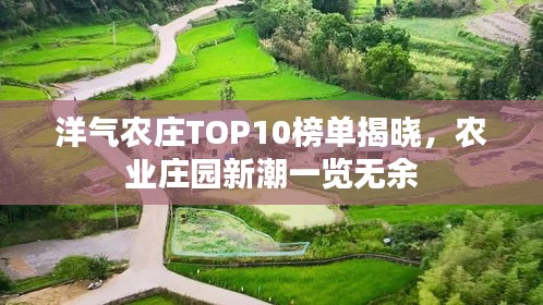 洋气农庄TOP10榜单揭晓，农业庄园新潮一览无余