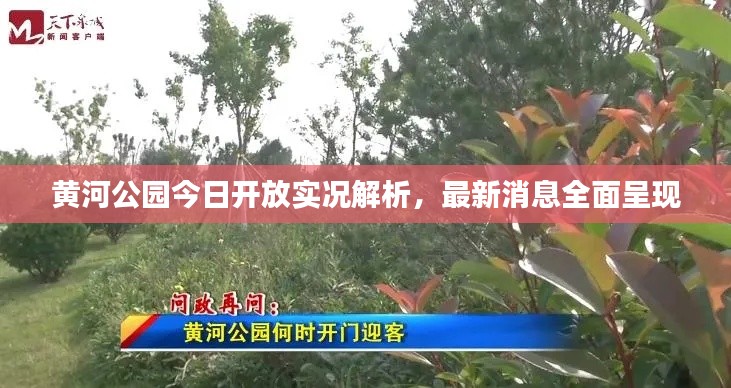 黄河公园今日开放实况解析，最新消息全面呈现