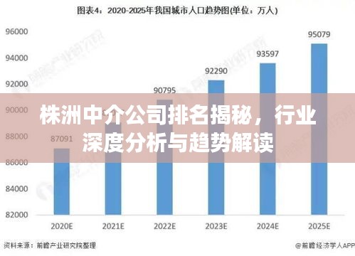 株洲中介公司排名揭秘，行业深度分析与趋势解读